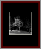 Deciduous Naked Gallery Page 1
