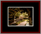 Carriage Leaf Gallery Page 3