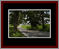 Walkwood Gallery Page 19