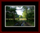 Walkwood Gallery Page 6