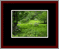Walkwood Gallery Page 11