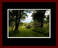 Walkwood Gallery Page 8