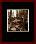 Eagereye Gallery Page 3