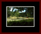 Walkwood Gallery Page 10