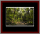 Walkwood Gallery Page 7
