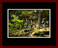 Walkwood Gallery Page 16