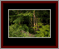 Walkwood Gallery Page 20
