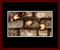 Carriage Leaf Gallery Page 1