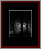 Deciduous Naked Gallery Page 6