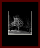 Deciduous Naked Gallery Page 1