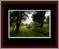 Walkwood Gallery Page 8