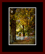 Walkwood Gallery Page 1