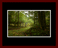 Walkwood Gallery Page 4