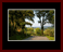 Walkwood Gallery Page 17