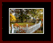 Walkwood Gallery Page 14