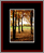 Walkwood Gallery Page 9