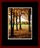 Walkwood Gallery Page 9