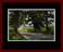 Walkwood Gallery Page 19