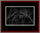 Deciduous Naked Gallery Page 7