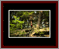 Walkwood Gallery Page 16