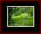Walkwood Gallery Page 11