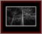 Deciduous Naked Gallery Page 8