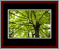 Walkwood Gallery Page 5