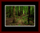 Walkwood Gallery Page 21