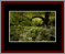 Walkwood Gallery Page 13