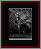 Deciduous Naked Gallery Page 2