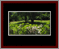 Walkwood Gallery Page 15