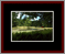 Walkwood Gallery Page 10