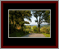 Walkwood Gallery Page 17