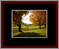 Eagereye Gallery Page 4