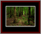 Walkwood Gallery Page 21