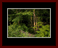 Walkwood Gallery Page 20
