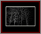 Deciduous Naked Gallery Page 9