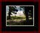 Walkwood Gallery Page 22
