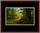 Walkwood Gallery Page 4