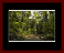 Walkwood Gallery Page 7