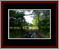 Walkwood Gallery Page 6