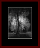 Deciduous Naked Gallery Page 4
