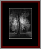 Deciduous Naked Gallery Page 4
