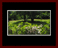 Walkwood Gallery Page 15