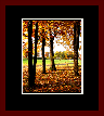 Walkwood Gallery Page 9